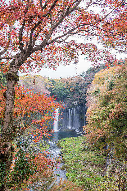 istock Shiraito waterfall 510229006