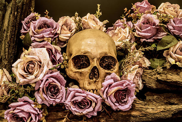 nature morte de crâne humain avec roses en arrière-plan - spooky cemetery single flower flower photos et images de collection