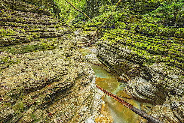 istock Creek with pure water. 510230696