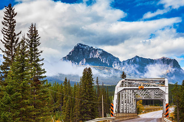 istock Road bridge in the reserve 510231180