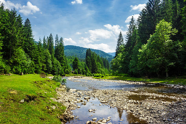 istock landscape with mountain river 510232828