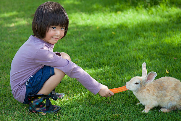 istock girl is feeding rabbit 510232938