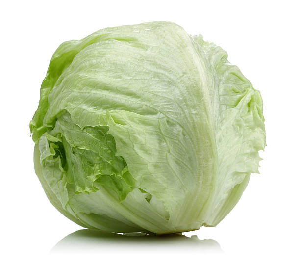iceberg lettuce stock photo