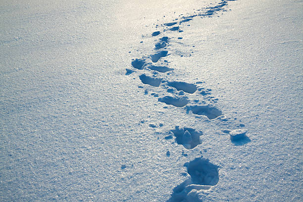 hintergrund von schnee und spuren auf sie - winter cold footpath footprint stock-fotos und bilder