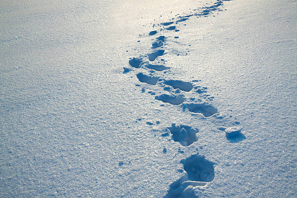 background from snow and traces on it