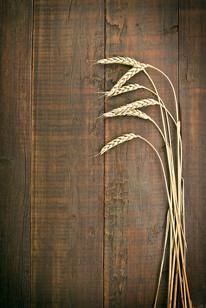 istock wheat on the old wooden table 510241233
