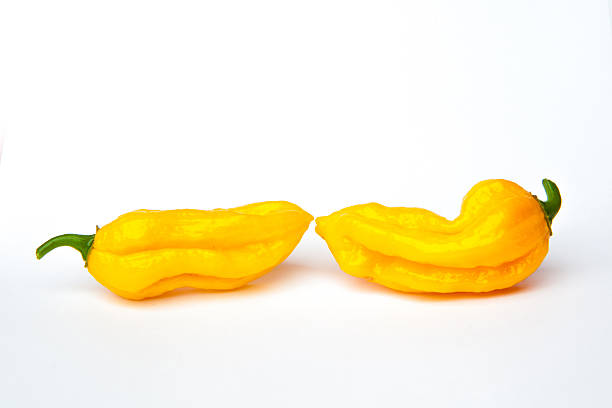 istock fatalii chili pepper isolated on a white background 510241489