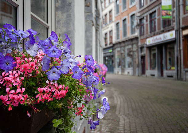 istock Namur, Belgium 510241623