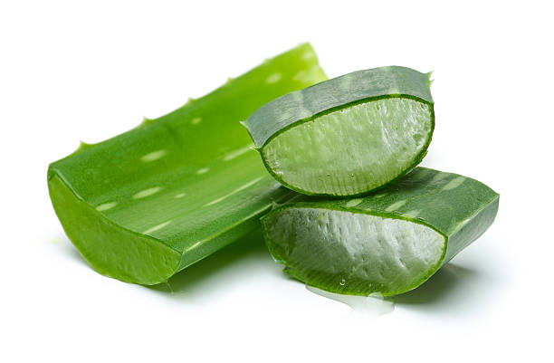 Aloe Vera Plant Aloe Vera on a white background medicine and science drop close up studio shot stock pictures, royalty-free photos & images