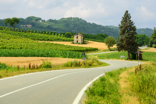 Summer landscape in Monferrato (Piedmont, Italy), road with vineyards