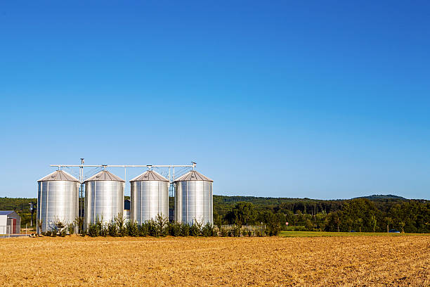 istock field in harvest with silo 510243639