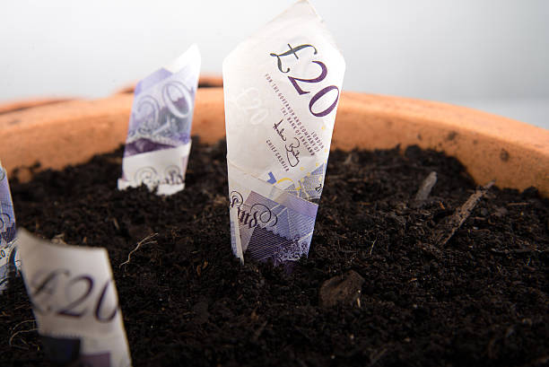 istock Growing money in pot 510243647