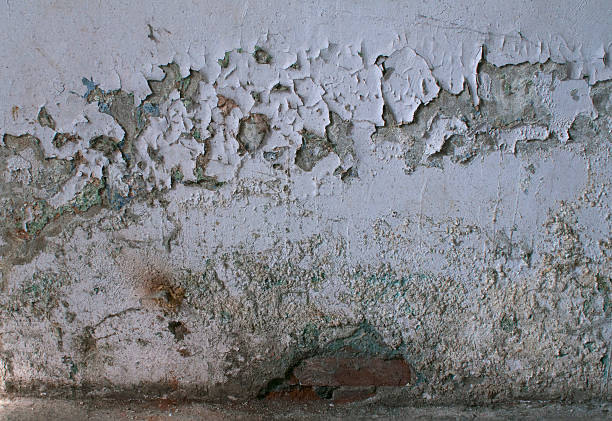 istock Texture of old gray wall with crumbling plaster 510270647