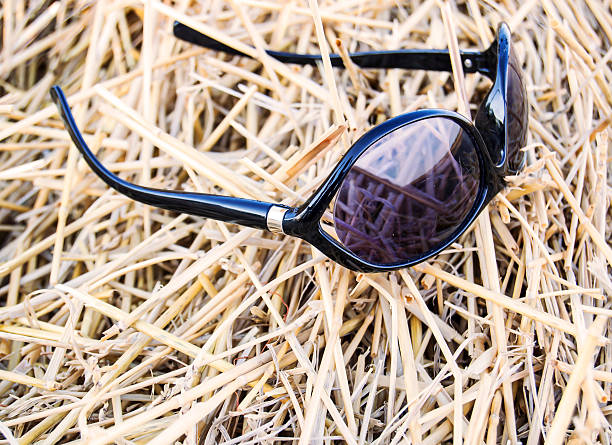 sunglasses in a haystack stock photo