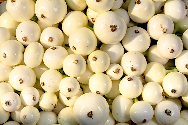 Boise Farmers market produce onions