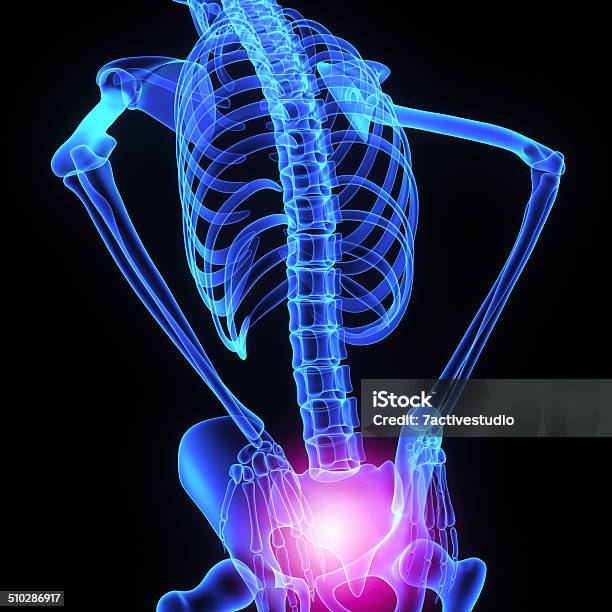 Hip Joint Stock Photo - Download Image Now - Human Groin, Girdle, Female Likeness