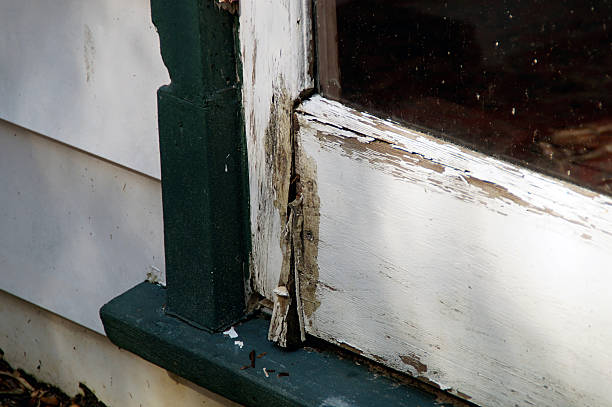 istock rotting door detail 510288435