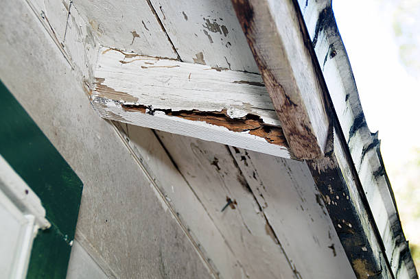 istock rotting eves of house 510288437