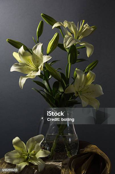 Still Life With Lily Stock Photo - Download Image Now - Arrangement, Beauty, Beauty In Nature