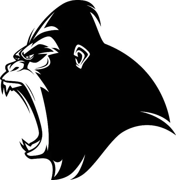 Vector illustration of angry gorilla