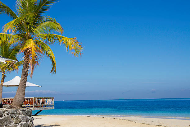 istock Tropical Island resort 510303673