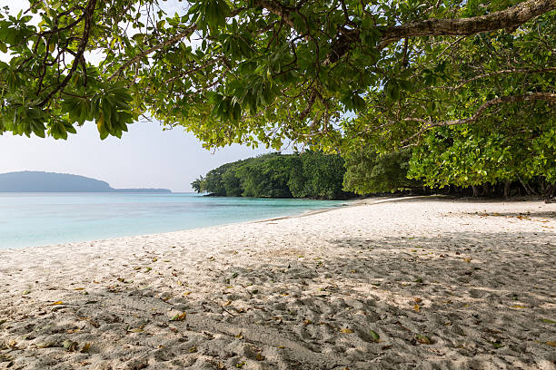 istock Champagne Beach, Vanuatu 510303685