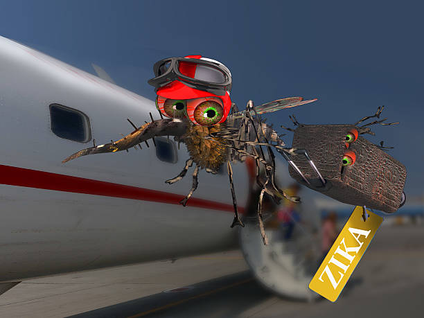 Zika virus, mosquito