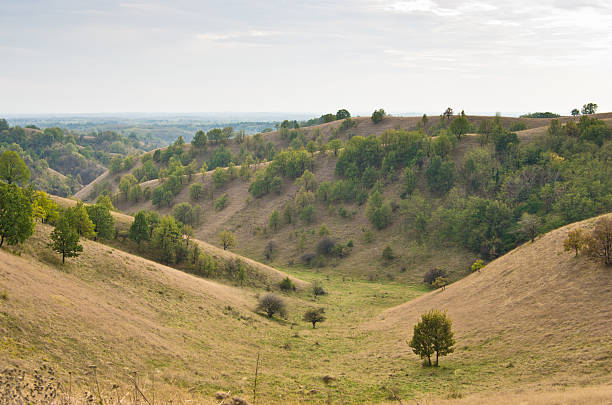 istock Valley between small hills covered with yellow grass 510306485