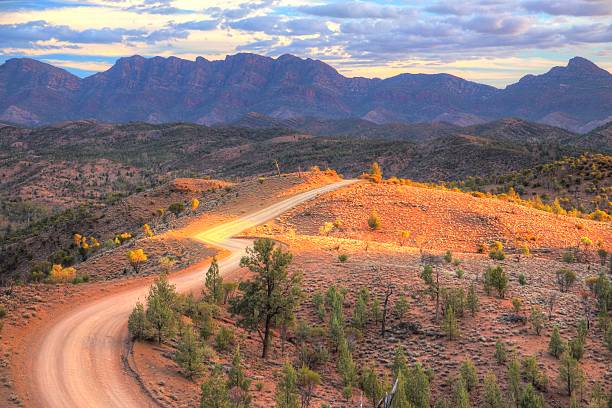 Flinders Ranges National Park, Australia Rough landscape in Flinders Ranges National Park, Australia grassland in morning sunrise stock pictures, royalty-free photos & images