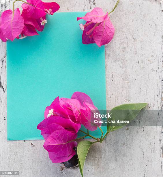 Bougainvillea Flowers On The Paper Notes Stock Photo - Download Image Now - Bougainvillea, Damaged, Decoration