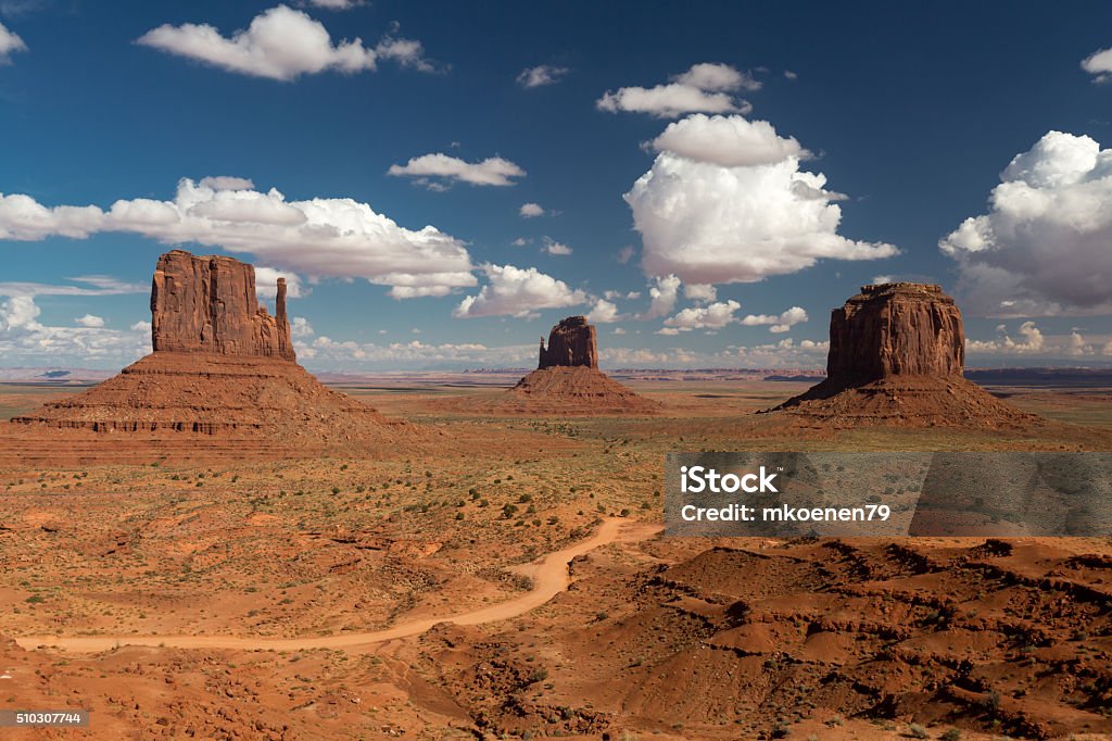 Monument Valley Stock Photo - Download Image Now - Animals In The Wild,  Arizona, Canyon - iStock