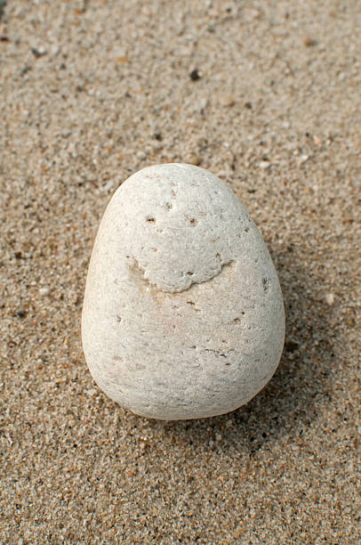 istock Image of smile on sea stone 510309158