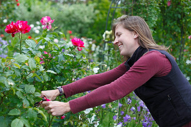 istock Gardening woman 510310181