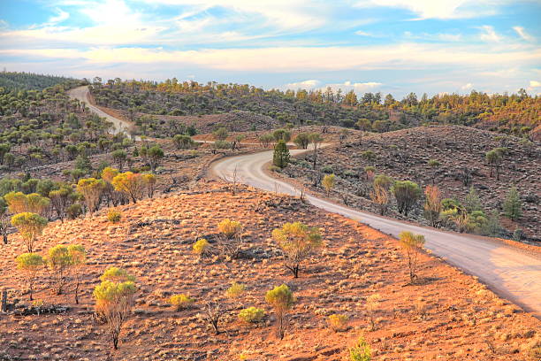 istock Flinders Ranges National Park, Australia 510310233