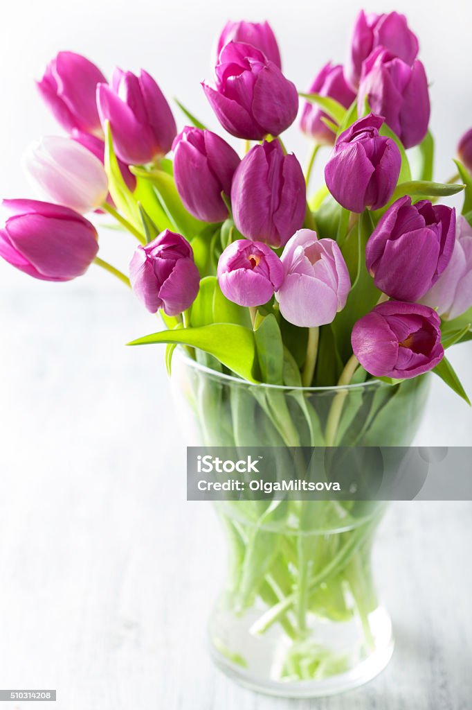 beautiful purple tulip flowers bouquet in vase Beauty In Nature Stock Photo