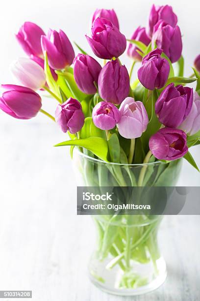 Beautiful Purple Tulip Flowers Bouquet In Vase Stock Photo - Download Image Now - Beauty In Nature, Blossom, Bouquet
