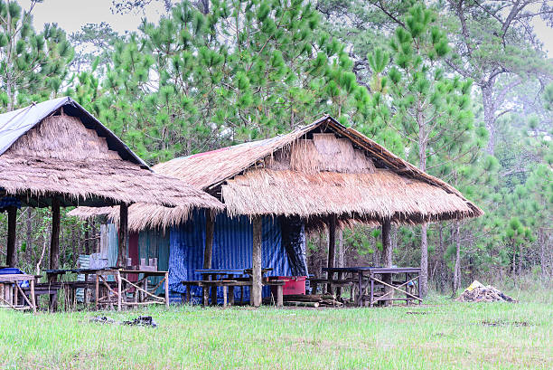 istock Abandoned cottage in national paark forest. 510315206