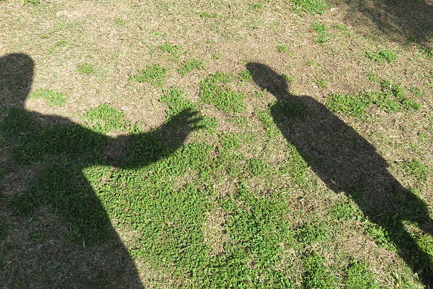 The shadow of a woman holding out her hand where a red leaf lies beneath the shadow of a tree.