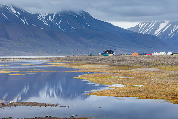 istock Arctic tundra in summer, Svalbard, Norway 510317604