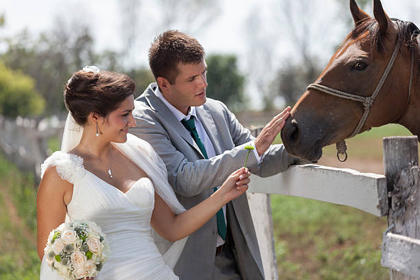istock Bride and groom outdoor with horse 510319476