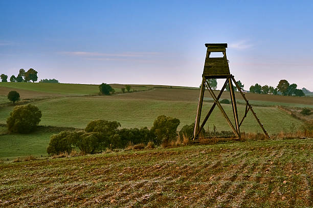 istock Rural landscape, pulpit hunting crop field 510320318