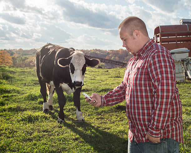 istock Young farmer checking his cell phone. 510321862