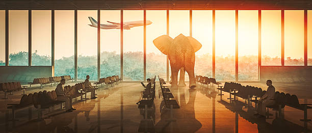aeroporto di elefante guardando aereo decolla - dreams window bizarre surreal foto e immagini stock