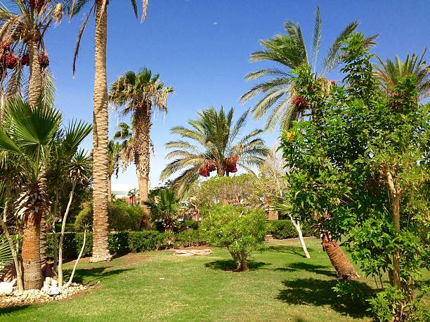 istock Egypt Hurghada beach sea and resorts 510326586