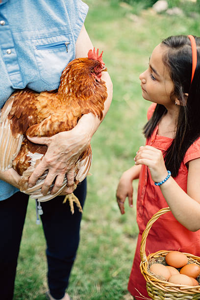 istock Child with basket full of eggs for Easter 510327590