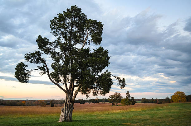 Manassas National Battlefield Park