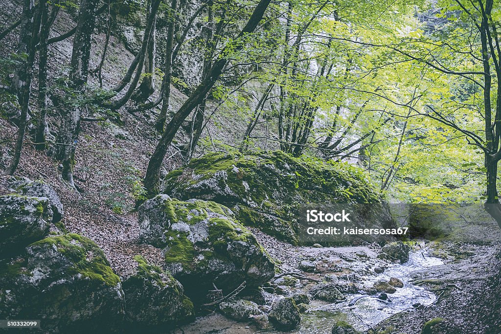 Mountain river Mountain river. Abruzzo Stock Photo