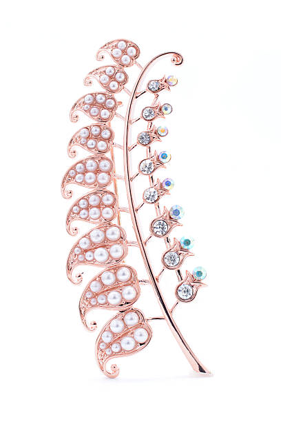 istock brooch fern on a white background 510332342