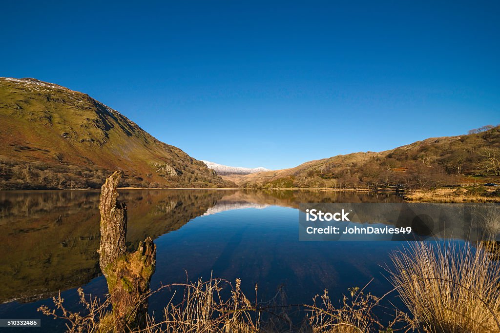 Snowdonia Snowdonia Gwynedd North Wales Uk Caernarfon Stock Photo
