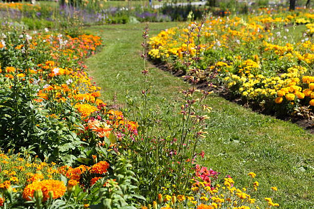 Large flower garden in summer  